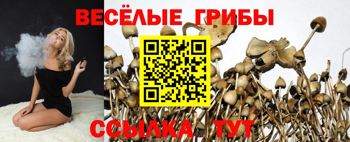 Псилоцибиновые грибы Psilocybine cubensis  Псилоцибиновые грибы ЛСД  Новотроицк  Вход с VPN 